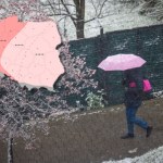 Talat psuje pogodę. Na słońce nie mamy co liczyć