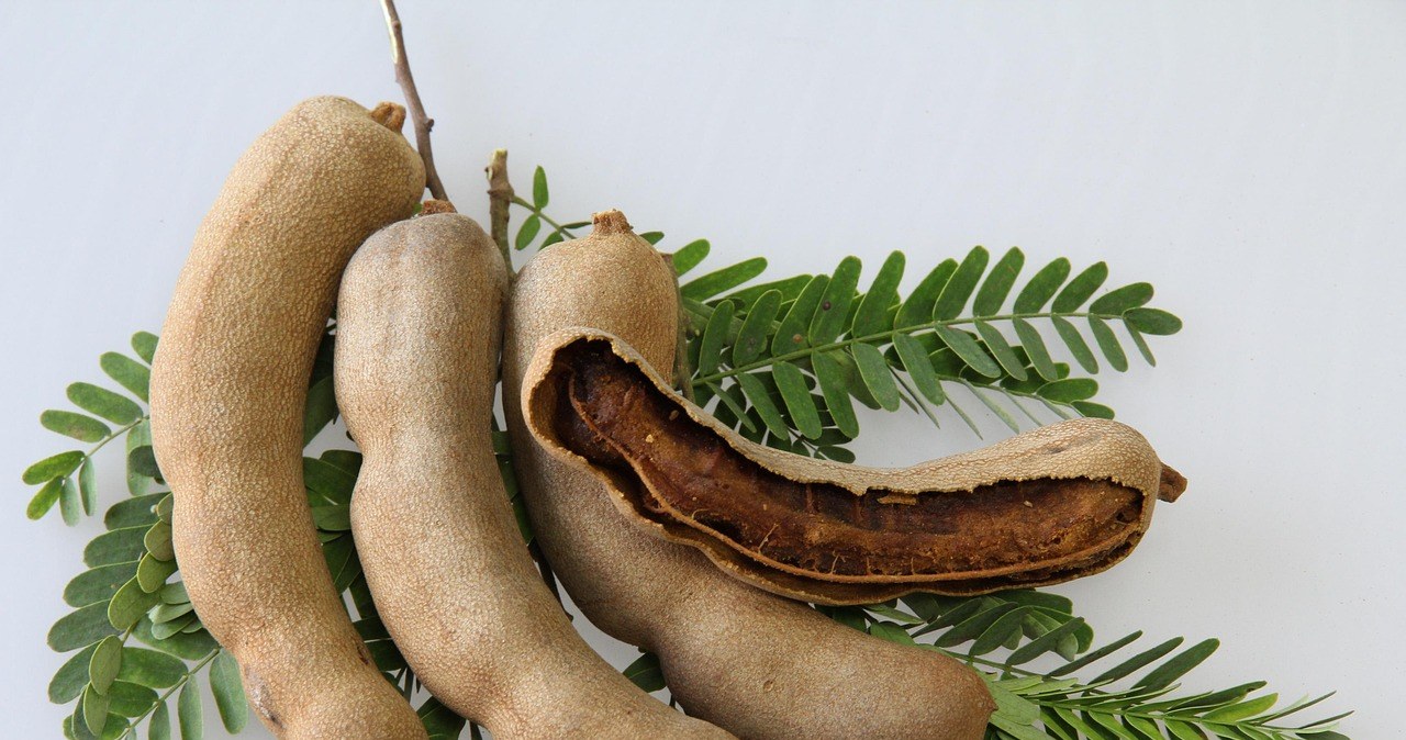 Тамаринд може бути як самостійними солодощами, так і інгредієнтом у солоних стравах /pixabay.com