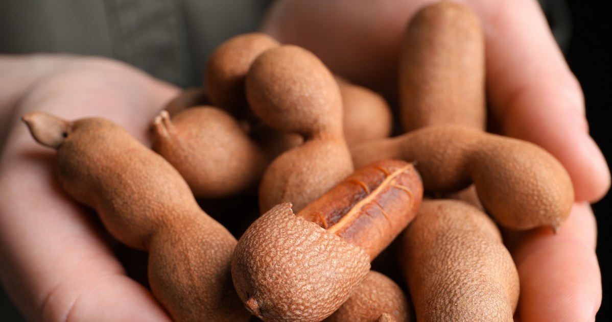 O tamarindo é amplamente utilizado na culinária mexicana, indiana e africana /123rf /picsel