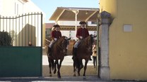 Tańczące konie z Portugalii. Sztuka jeździecka na liście UNESCO