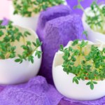 Tani, a "potężny" dodatek. Zbija cukier, pomaga przy anemii i osteoporozie