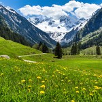Tani raj w sercu Alp. Austriacki Tyrol zaskakuje także latem 