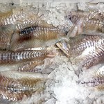 Przepisy kulinarne