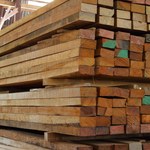 Tanie drewno wciąż zalewa polski rynek. Trop prowadzi do Rosji