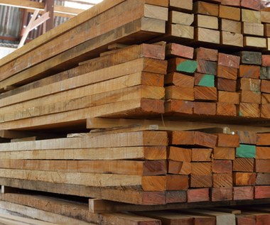 Tanie drewno wciąż zalewa polski rynek. Trop prowadzi do Rosji