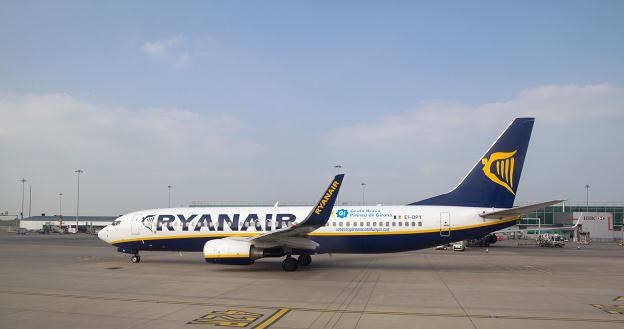Tanie linie lotnicze Ryanair dostały ponad 8 mln euro kary /&copy;123RF/PICSEL