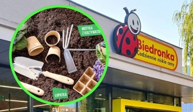 Tanie narzędzia do ogrodu w Biedronce. Przygotuj ogród na wiosnę