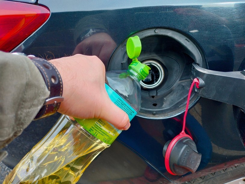 Tankowanie oleju spożywczego stało się pomysłem niektórych kierowców na tańszą eksploatację swoich samochodów /Paweł Rygas /INTERIA.PL