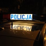 Tarnobrzeg: Pijany 22-latek podpalił kota i wyrzucił go przez okno