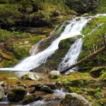 Tatry bez stresu. Malowniczy szlak z wodospadem, który nie wymaga doświadczenia