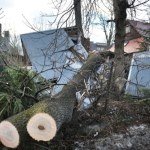 straty Tatry: Halny powalił 125 tys. metrów sześciennych drzew