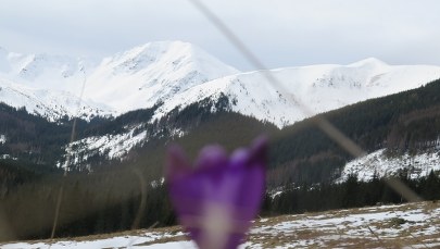 Tatry: Turysta spadł w rejonie Koziej Przełęczy Wyżniej