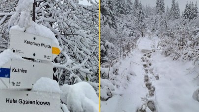 Tatry w białej odsłonie. Tyle śniegu spadło pierwszy raz w tym roku