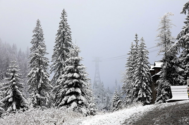 Tatry / 	Grzegorz Momot    /PAP