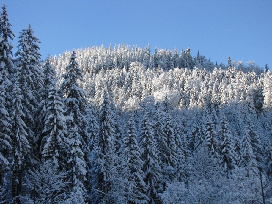 Tatry /Maciej Pałahicki /RMF24