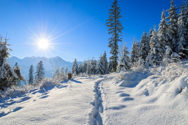 Tatry /Shutterstock