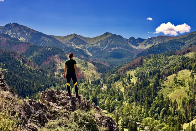 Tatry /shutterstock /Shutterstock