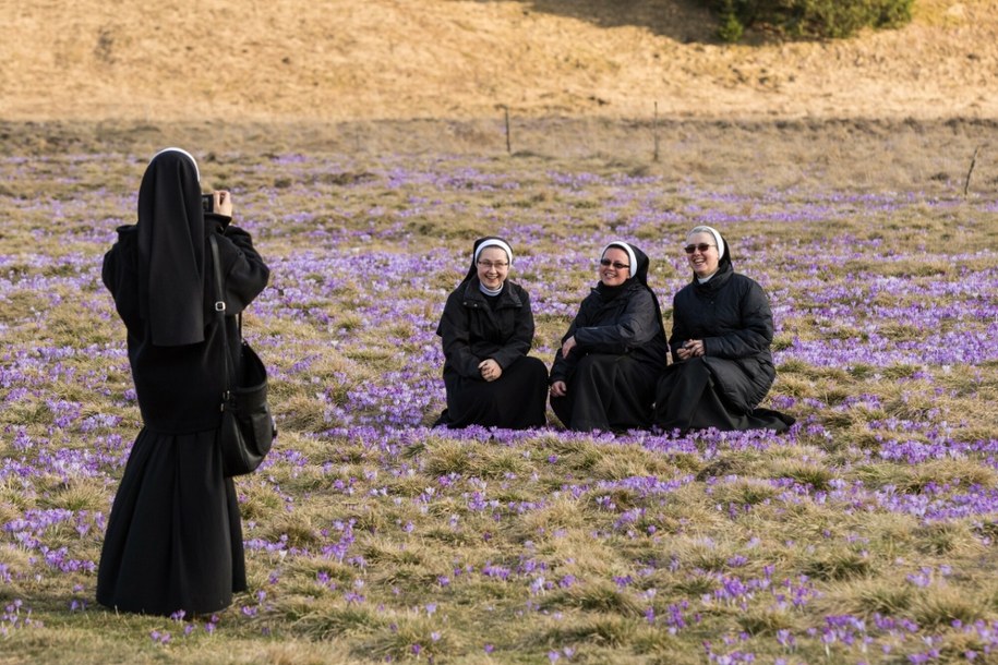 Tatrzańskie krokusy rozkwitną lada moment! Jak nie zadeptać piękna przyrody? /JAN GRACZYNSKI /East News