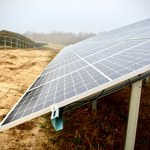 Tauron buduje kolejne farmy słoneczne