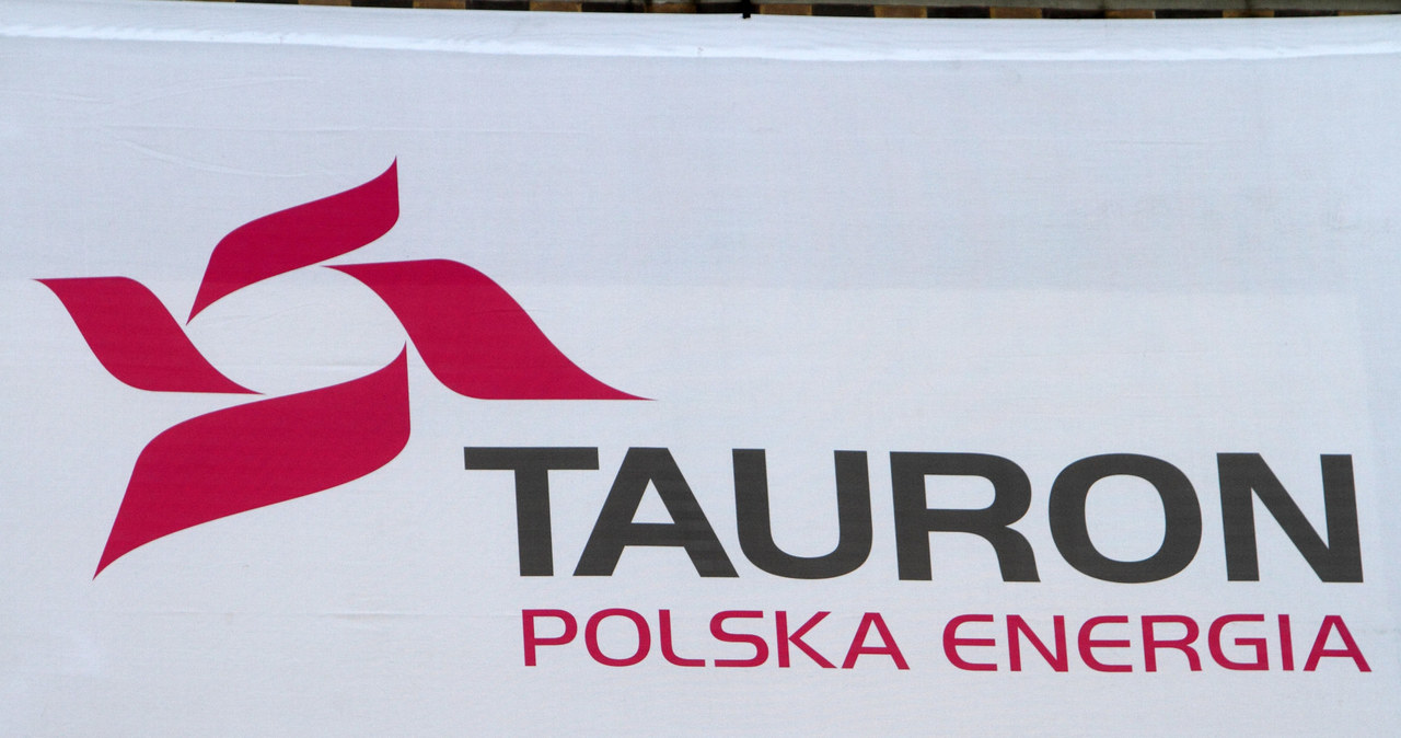Tauron z nowym prezesem, szykuje nową strategię /Jan Kucharzyk /East News