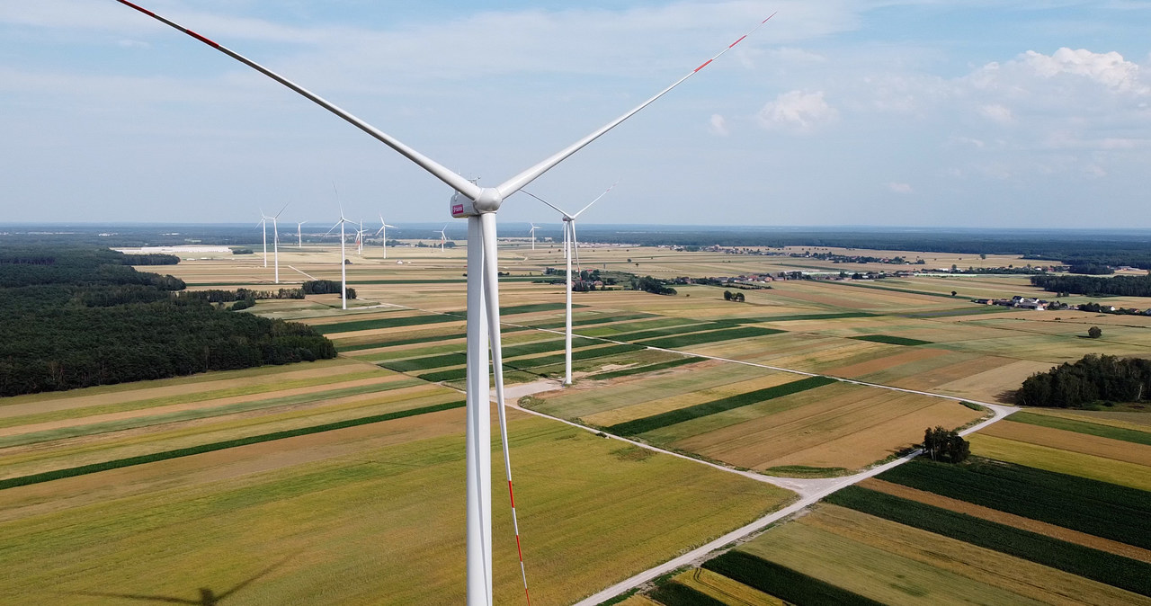 Tauron zakończył prace budowlane na terenie farmy wiatrowej Piotrków