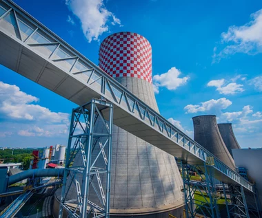 ​Tauron zamknął ubiegły rok stratą