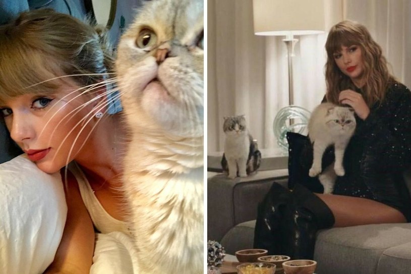 Taylor Swift kocha koty. Sama ma trójkę - to Olivia, Meredith i Benjamin / Instagram, East News/ Wiese/FaceToFace/REPORTER /East News