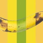 Te banany nie są takie same! Sprawdź, który poziom dojrzałości służy organizmowi