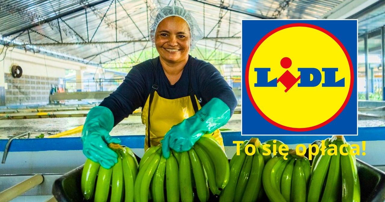 Te banany w Lidlu kupisz taniej, a przy okazji pomożesz innym! /Lidl - materiały prasowe /INTERIA.PL