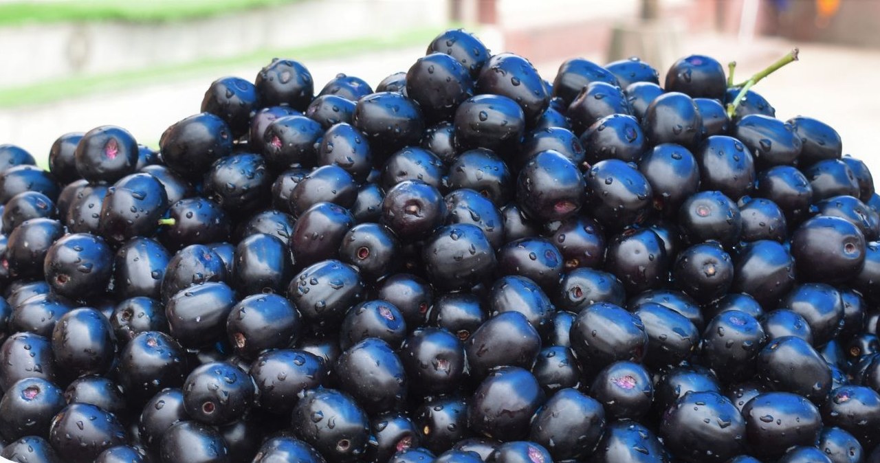 Te ciemne owoce mają słodki, ostry smak i mnóstwo właściwości zdrowotnych. /Devika Baraya /Canva Pro