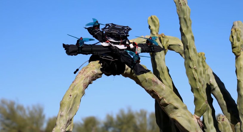Te drony nie rozbijają się o przeszkody, ale od nich odbijają /Arizona State University /domena publiczna