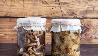 Te grzybki są znacznie lepsze, niż marynowane. Na Podhalu jedzą je wszyscy