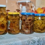 gotowanie Te grzyby trzeba gotować 2 razy. Inaczej mogą zaszkodzić