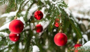 Te kolory symbolizują Boże Narodzenie. Wybór nie jest przypadkowy