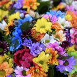 Te kwiaty nie nadają się na cmentarz. Nawet nie wydawaj na nie pieniędzy