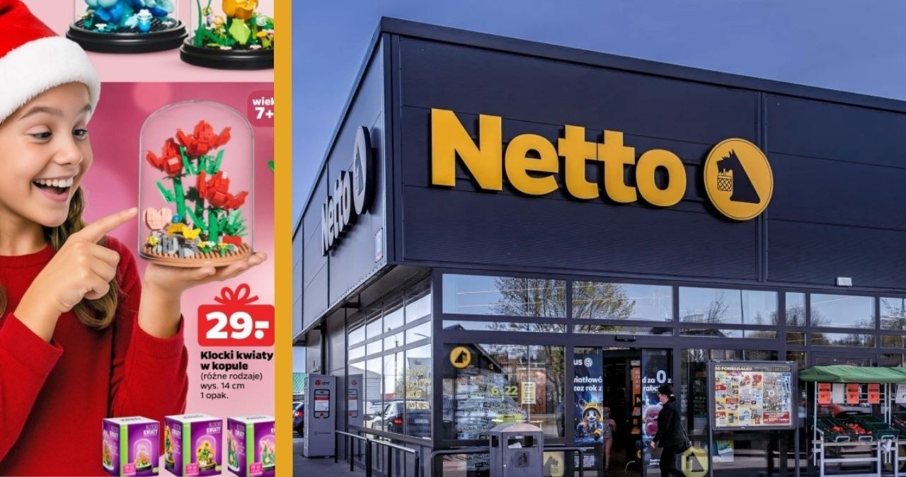 Te kwiaty nie potrzebują wody! Kreatywne zestawy z klocków od 15 zł w Netto /Netto /INTERIA.PL