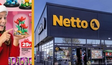 Te kwiaty nie potrzebują wody! Kreatywne zestawy z klocków od 15 zł w Netto