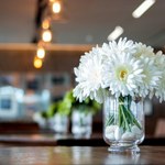 Te kwiaty rodzice najchętniej kupują na komunię. Są delikatne i eleganckie