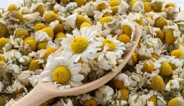 Te kwiaty z pól to sekret naturalnego blasku i wzmocnienia włosów. Kończy się czas na zbiory