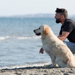 Te miasta lubią psy. W rankingu żaden ośrodek z Polski 
