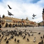 Te miasta najchętniej wybierają turyści. W pierwszej dziesiątce polski hit