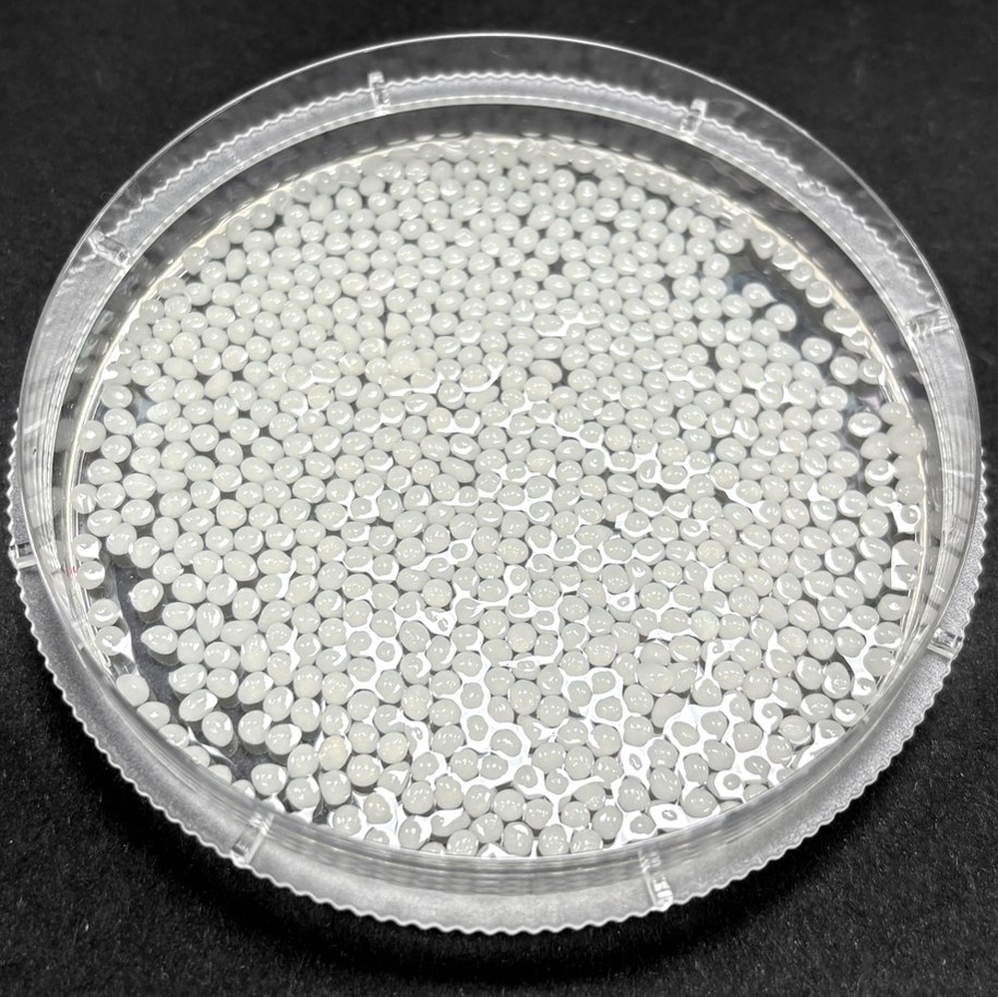 Te mikrogranulki mają pomóc w odchudzaniu, blokując wchłanianie tłuszczu /Yue Wu /Materiały prasowe