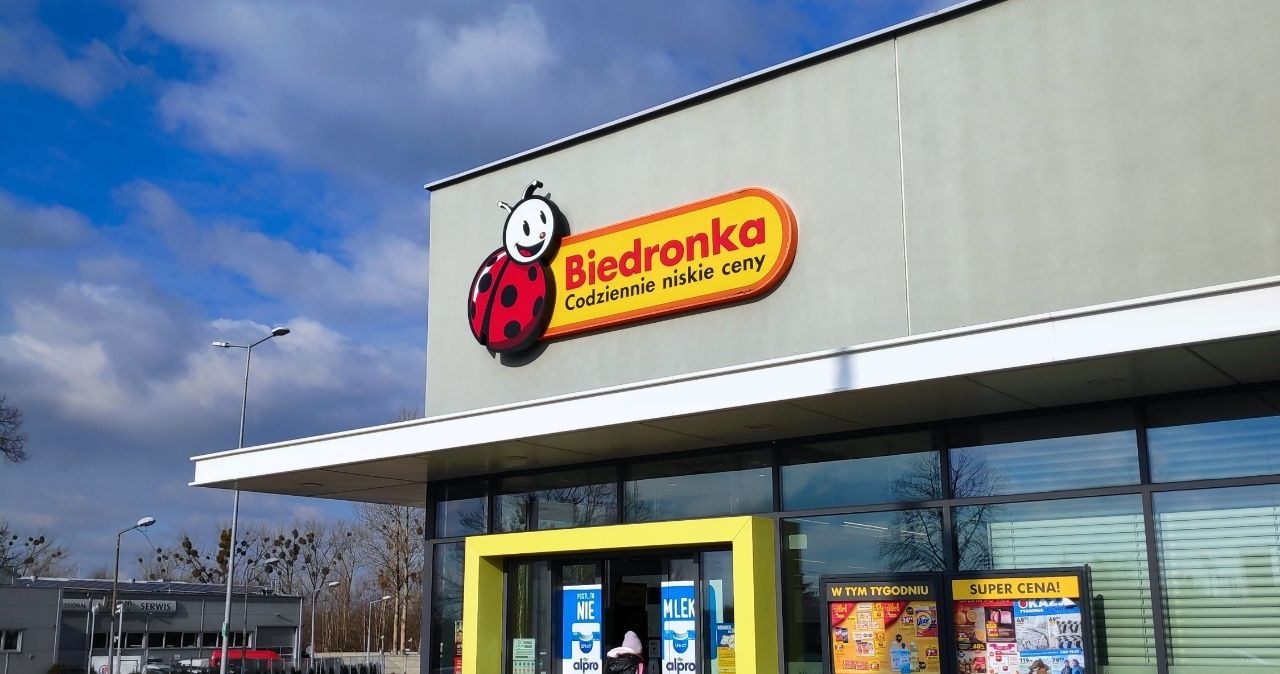 Te narzędzia przydadzą się każdemu. Biedronka kusi cenami na Niteo od 14,99 zł /adobestock /INTERIA.PL