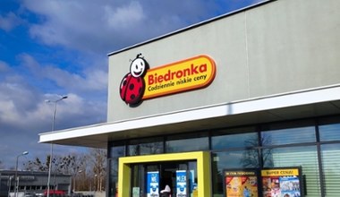 Te narzędzia przydadzą się każdemu. Biedronka kusi cenami na Niteo od 14,99 zł