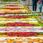 Te niebywałe kwietne dywany są na liście UNESCO. Układają je od 5 rano