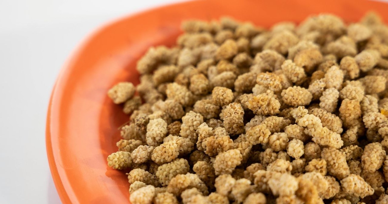 Te owoce są w co drugim polskim ogrodzie. Można jeść na surowo, suszone, robi c z nich przetwory. /Engin Akyurat /Canva Pro