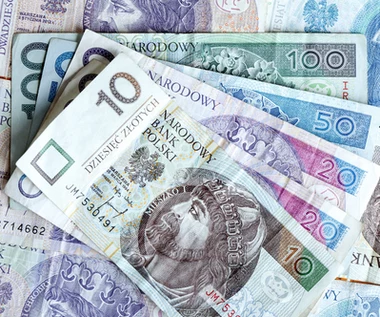 Te pieniądze tracą ważność. Jeśli masz takie banknoty i monety, lepiej je wymień