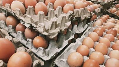 Te produkty Polska chce dodatkowo objąć zakazem importu z Ukrainy