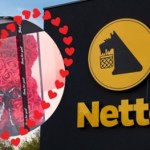 Te róże z Netto wywołały szał! Kupisz je za 29 zł