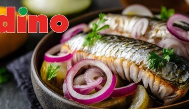 Te ryby z Dino znikają z półek! Teraz kupisz je w supercenie